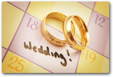 000+/Year — The Wedding Planner Book