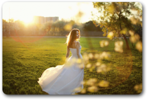 Wedding Bride