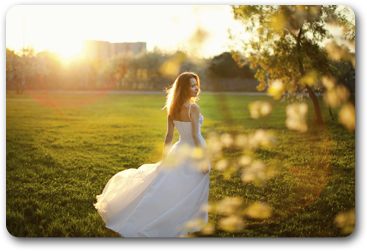 Wedding Bride